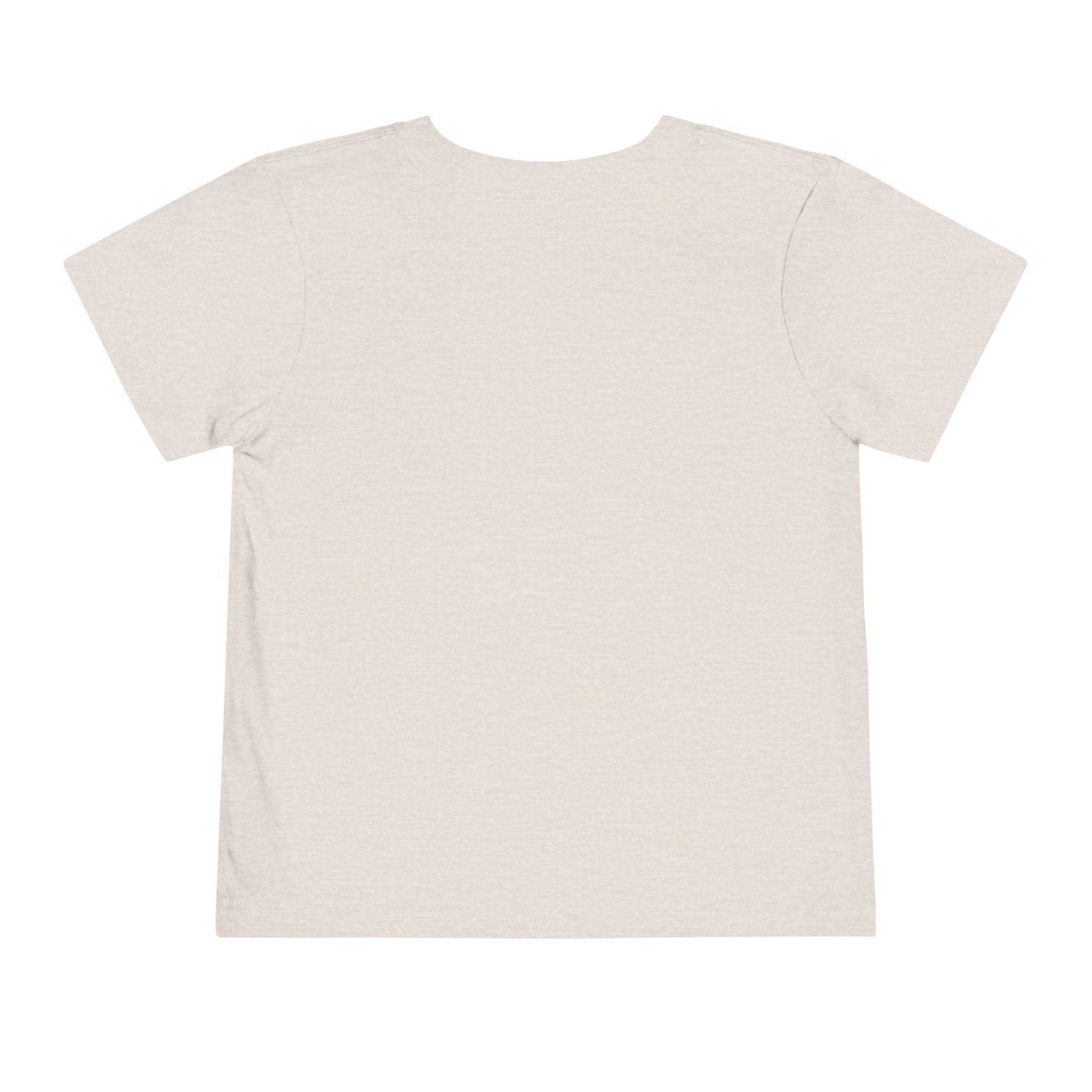 Toddler Gymnastics Tee — "America's Gymnastics" Preschool Shirt