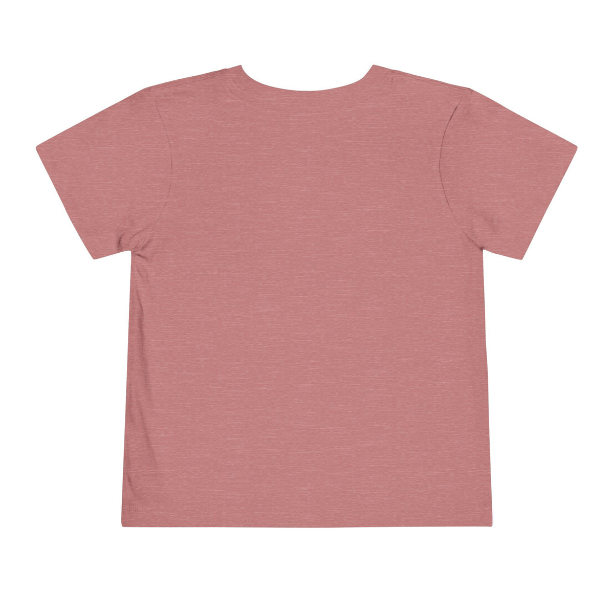 Toddler Gymnastics Tee — "America's Gymnastics" Preschool Shirt