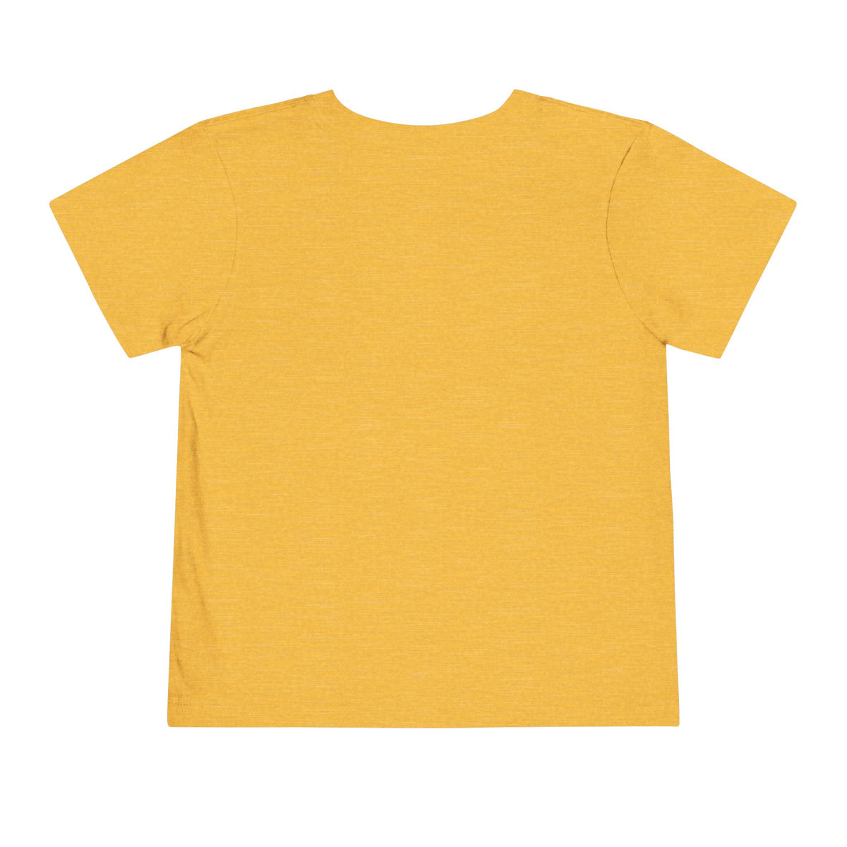 Toddler Gymnastics Tee — "America's Gymnastics" Preschool Shirt